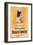 Black and White Scotch-null-Framed Premium Giclee Print