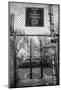 Black and White shot of empty basketball courts at West 4th Street in NYC-null-Mounted Photo