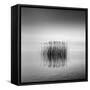 Black and White Silence-George Digalakis-Framed Stretched Canvas