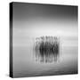 Black and White Silence-George Digalakis-Stretched Canvas