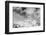 Black and White Snowy Mountains at Wind Day-BSANI-Framed Premium Photographic Print