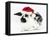 Black-And-White Spotted Rabbit Wearing a Father Christmas Hat-Mark Taylor-Framed Stretched Canvas