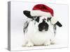 Black-And-White Spotted Rabbit Wearing a Father Christmas Hat-Mark Taylor-Stretched Canvas