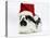 Black-And-White Spotted Rabbit Wearing a Father Christmas Hat-Mark Taylor-Stretched Canvas
