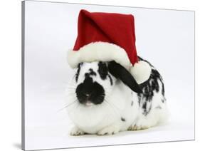 Black-And-White Spotted Rabbit Wearing a Father Christmas Hat-Mark Taylor-Stretched Canvas