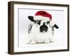 Black-And-White Spotted Rabbit Wearing a Father Christmas Hat-Mark Taylor-Framed Photographic Print