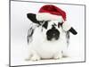 Black-And-White Spotted Rabbit Wearing a Father Christmas Hat-Mark Taylor-Mounted Photographic Print