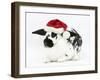 Black-And-White Spotted Rabbit Wearing a Father Christmas Hat-Mark Taylor-Framed Photographic Print