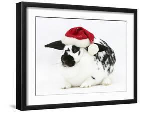 Black-And-White Spotted Rabbit Wearing a Father Christmas Hat-Mark Taylor-Framed Photographic Print