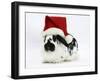 Black-And-White Spotted Rabbit Wearing a Father Christmas Hat-Mark Taylor-Framed Photographic Print