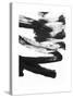 Black and White Strokes 5-Iris Lehnhardt-Stretched Canvas