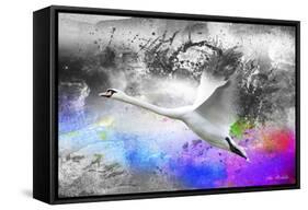 Black And White To Color-Ata Alishahi-Framed Stretched Canvas