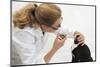 Black-And-White Tuxedo Kitten Being Given Pill by Vet, Miriam, with a Pill-Giver. Model Released-Mark Taylor-Mounted Photographic Print