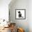 Black-And-White Tuxedo Kitten, Tuxie, 10 Weeks Old, Looking Up after Washing His Paw-Mark Taylor-Framed Photographic Print displayed on a wall