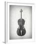 Black and White Violin-Dan Sproul-Framed Art Print