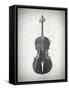Black and White Violin-Dan Sproul-Framed Stretched Canvas