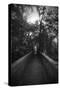 Black And White Walkway-Julie Fain-Stretched Canvas