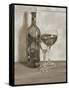 Black and White Wine Series II-Jennifer Goldberger-Framed Stretched Canvas