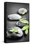Black and White Zen Stones Submerged in Water with Color Accented Green Leaves-elenathewise-Framed Stretched Canvas