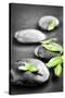 Black and White Zen Stones Submerged in Water with Color Accented Green Leaves-elenathewise-Stretched Canvas
