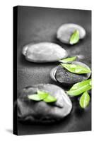 Black and White Zen Stones Submerged in Water with Color Accented Green Leaves-elenathewise-Stretched Canvas