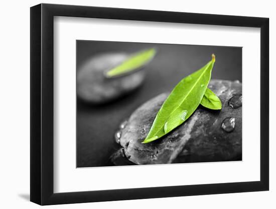 Black and White Zen Stones Submerged in Water with Color Accented Green Leaves-elenathewise-Framed Photographic Print