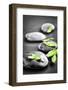 Black and White Zen Stones Submerged in Water with Color Accented Green Leaves-elenathewise-Framed Photographic Print