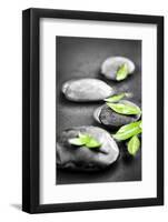 Black and White Zen Stones Submerged in Water with Color Accented Green Leaves-elenathewise-Framed Photographic Print