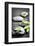 Black and White Zen Stones Submerged in Water with Color Accented Green Leaves-elenathewise-Framed Photographic Print