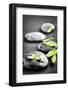 Black and White Zen Stones Submerged in Water with Color Accented Green Leaves-elenathewise-Framed Photographic Print