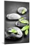 Black and White Zen Stones Submerged in Water with Color Accented Green Leaves-elenathewise-Mounted Photographic Print