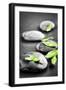 Black and White Zen Stones Submerged in Water with Color Accented Green Leaves-elenathewise-Framed Photographic Print