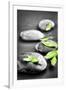 Black and White Zen Stones Submerged in Water with Color Accented Green Leaves-elenathewise-Framed Photographic Print