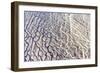 Black And White-Joan Gil Raga-Framed Giclee Print