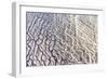 Black And White-Joan Gil Raga-Framed Giclee Print