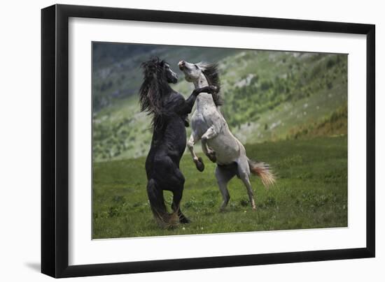 Black and White-Vedran Vidak-Framed Photographic Print