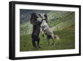 Black and White-Vedran Vidak-Framed Photographic Print