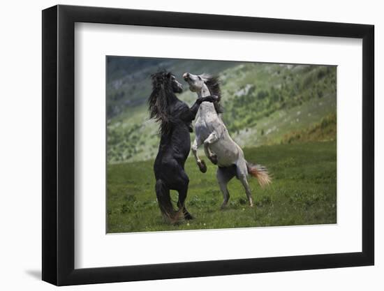 Black and White-Vedran Vidak-Framed Photographic Print