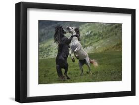 Black and White-Vedran Vidak-Framed Photographic Print