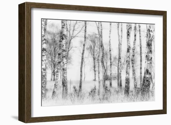 Black and White-Nel Talen-Framed Photographic Print