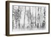 Black and White-Nel Talen-Framed Photographic Print