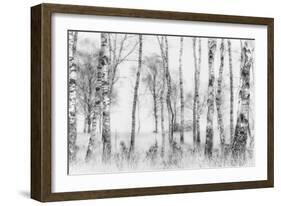 Black and White-Nel Talen-Framed Photographic Print