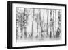 Black and White-Nel Talen-Framed Photographic Print