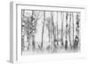 Black and White-Nel Talen-Framed Photographic Print