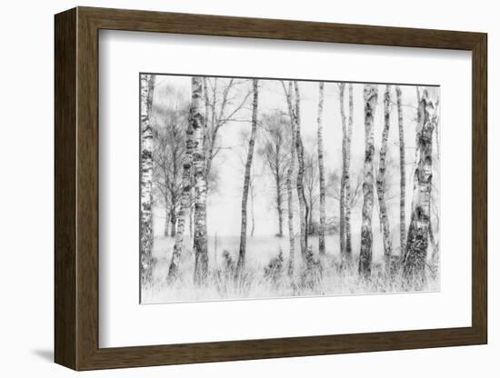 Black and White-Nel Talen-Framed Photographic Print