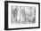 Black and White-Nel Talen-Framed Photographic Print