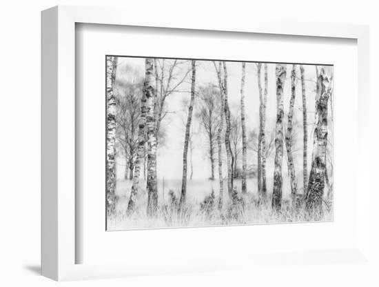 Black and White-Nel Talen-Framed Photographic Print