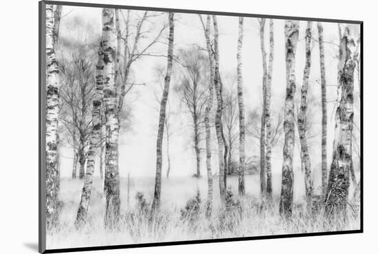 Black and White-Nel Talen-Mounted Photographic Print