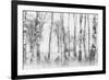 Black and White-Nel Talen-Framed Photographic Print