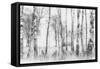 Black and White-Nel Talen-Framed Stretched Canvas